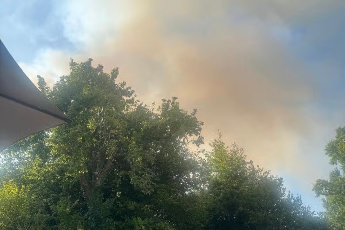 A31 Closed in Both Directions as Fire Spreads Into New Forest Heathland in Hampshire